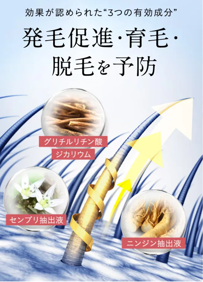 認められた“3つの有効成分” 発毛促進・育毛・脱毛を予防 グリチルリチン酸ジカリウム センブリ抽出液 ニンジン抽出液